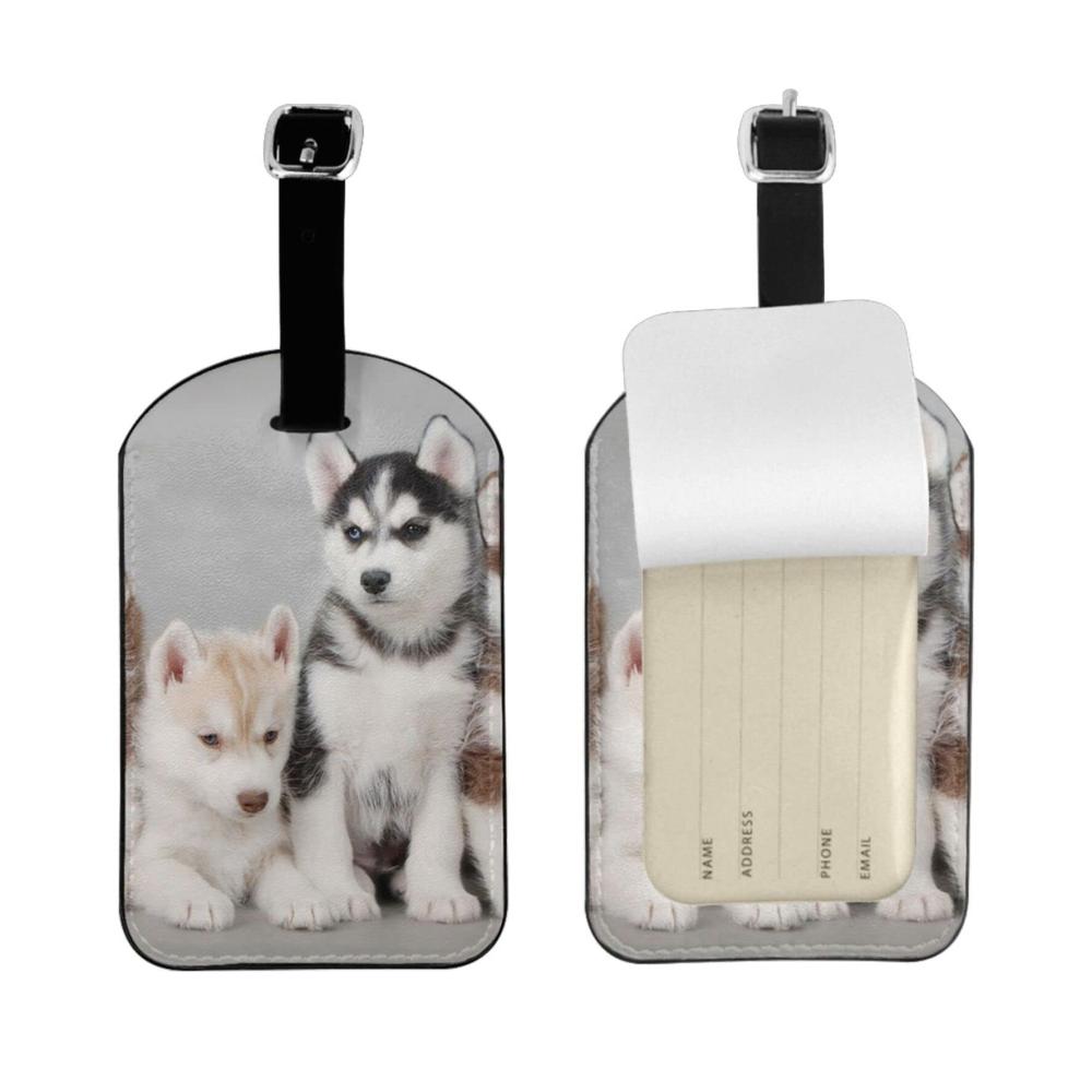 Schöne Hunde