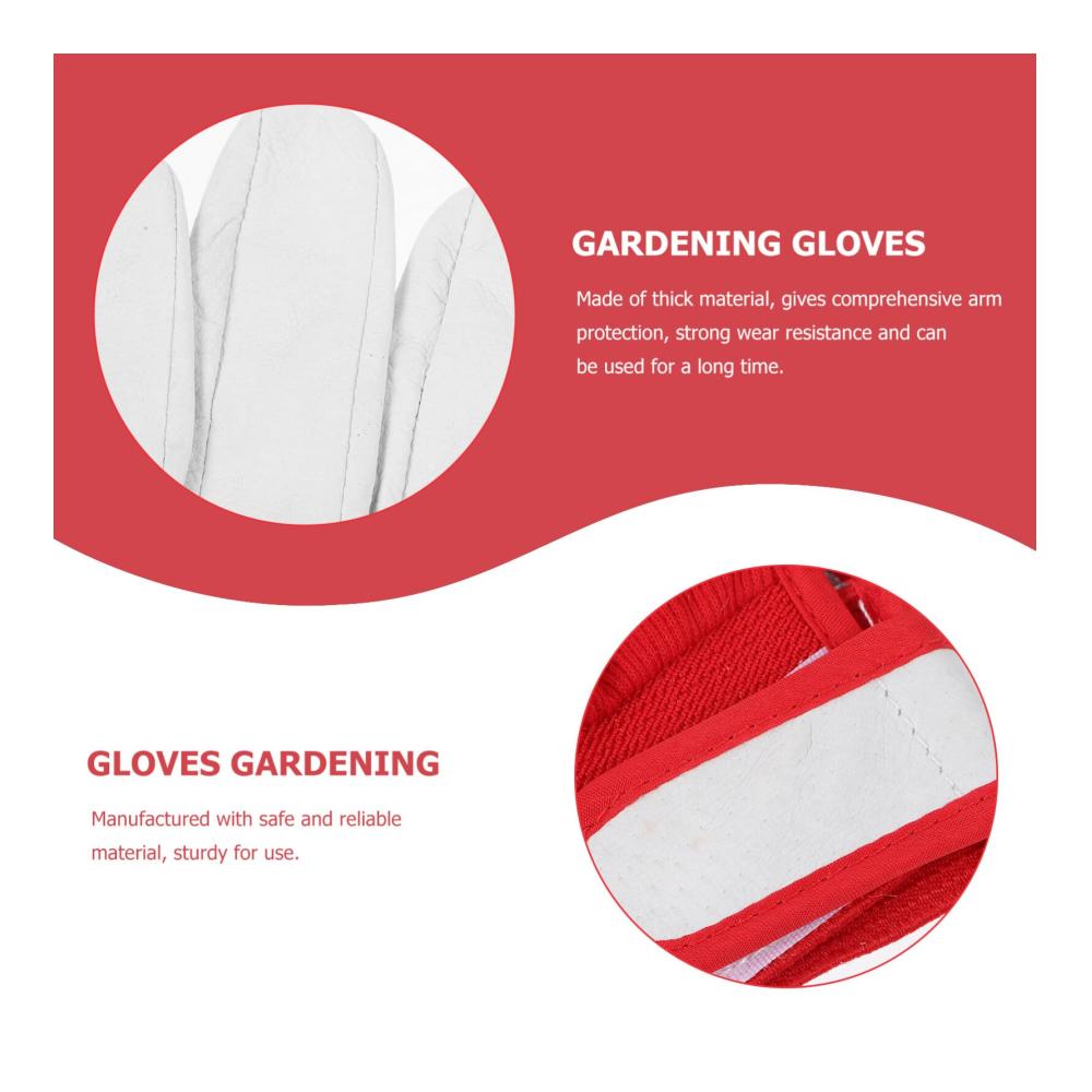 Ultimativer Schutz Kaktussichere Lederhandschuhe für Damen - Dornensicher & Winterfest - Perfekte Gartenbegleiter & Geschenkidee - Jetzt zugreifen! 🌿🧤