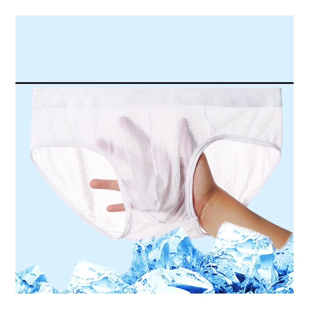 Ultimative Komfort und Stil 2er-Pack Slips aus atmungsaktivem Mesh mit Eisseiden-Finish für ein angenehmes Tragegefühl und verführerische Transparenz