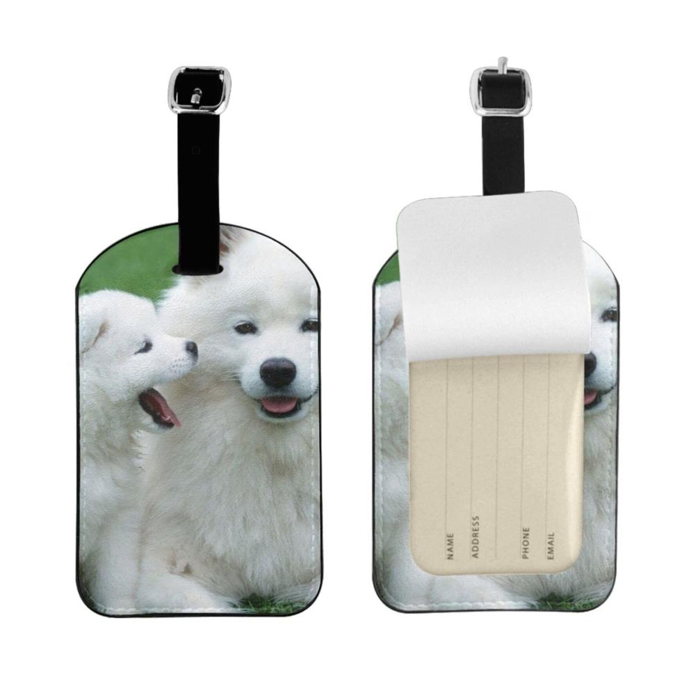 Weißer Hund