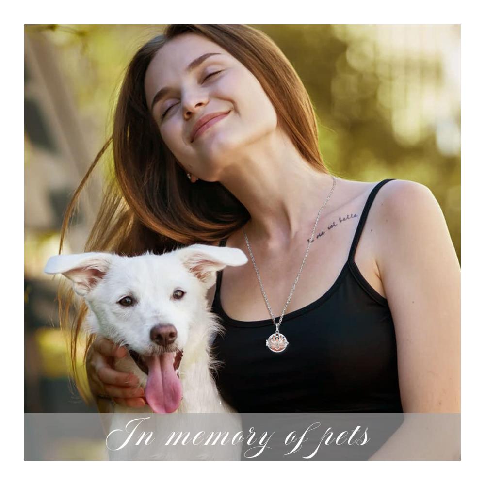 Elegante EUDORA Harmony Ball Kettenasche Urne für Damen | Einäscherungsschmuck in Silberveredelung | Erinnerungsmedaillon für Hund Katze Mutter Vater Oma | Beerdigungssouvenir | 24 Zoll