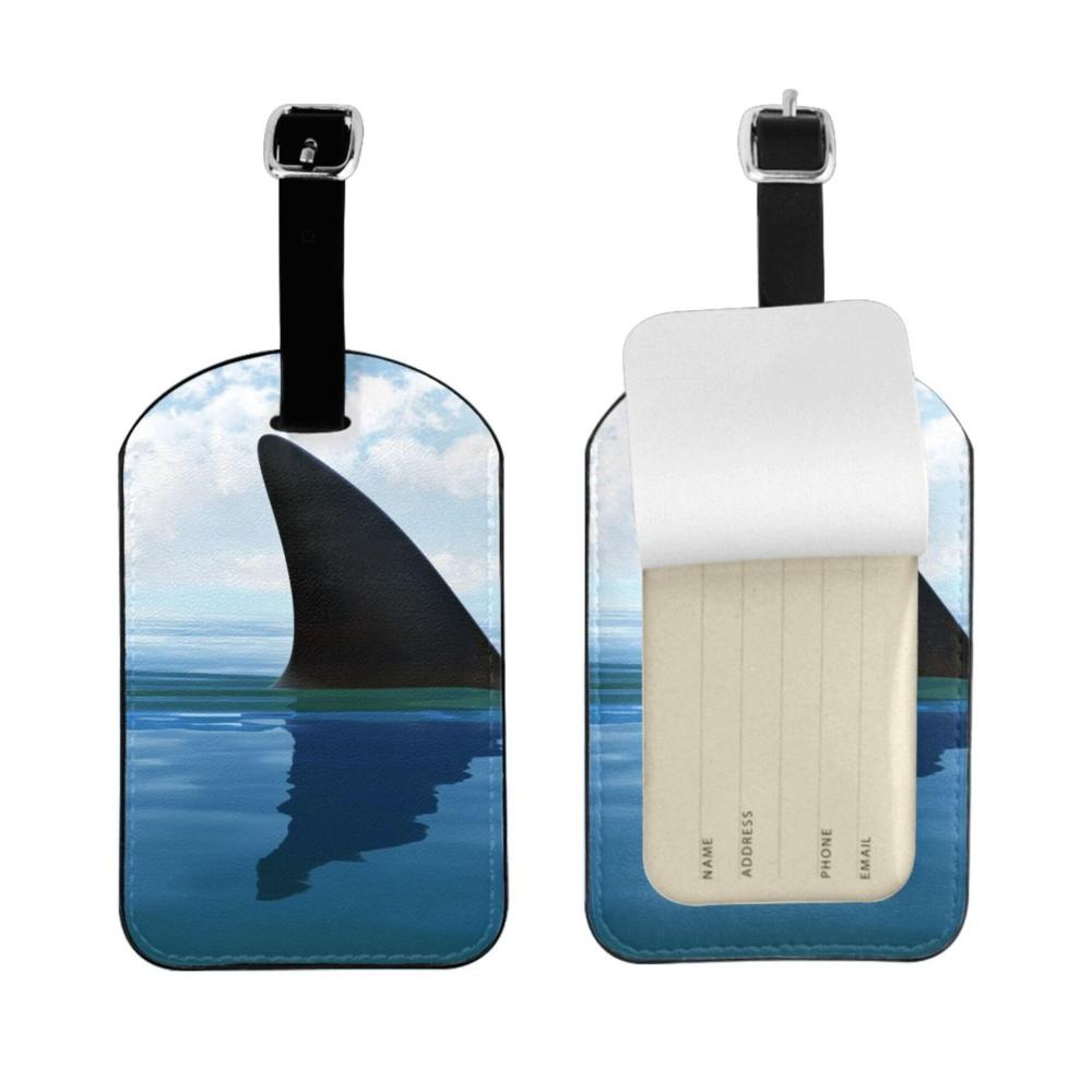 Shark Cum