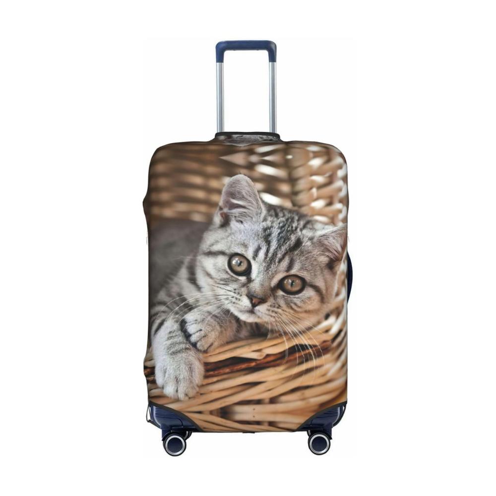 Katze