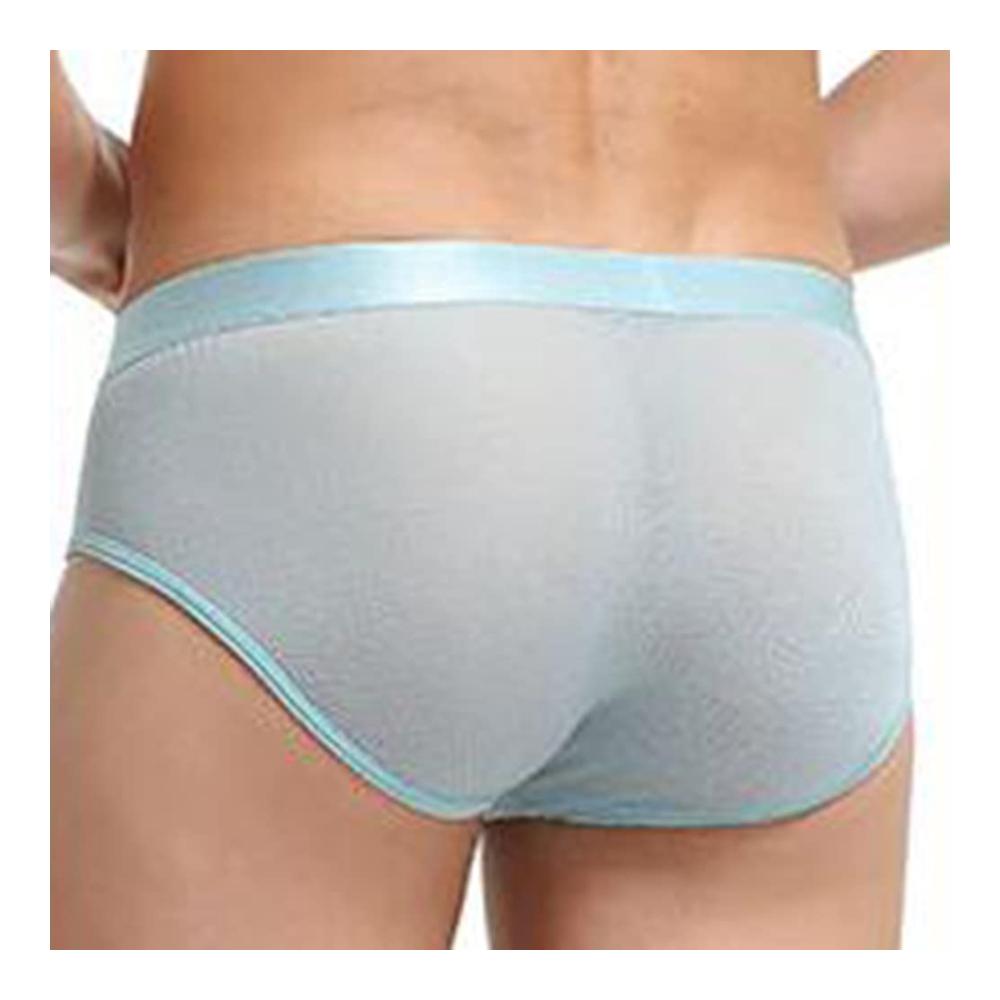 Ultimative Komfort und Stil 2er-Pack Slips aus atmungsaktivem Mesh mit Eisseiden-Finish für ein angenehmes Tragegefühl und verführerische Transparenz