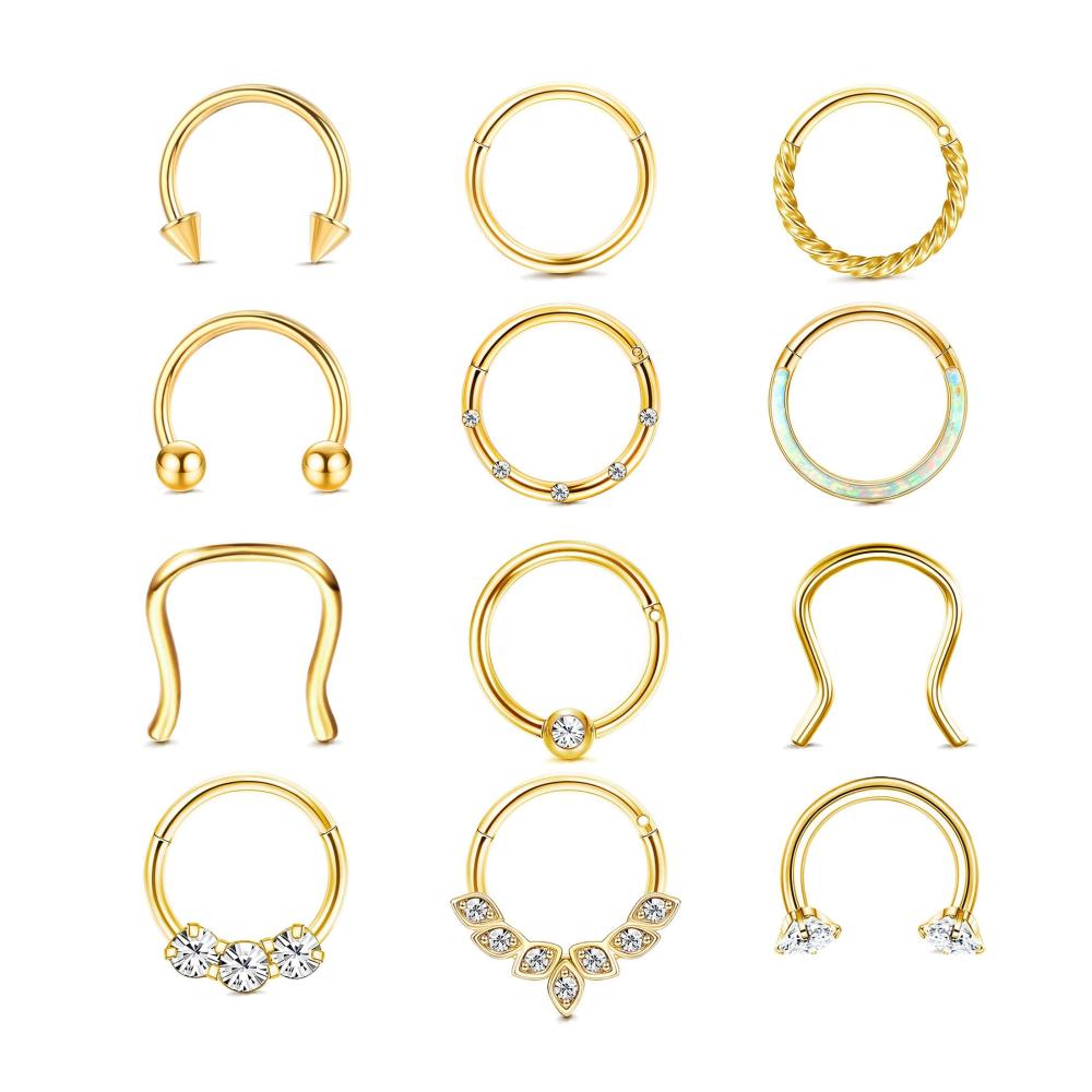 Entdecke die Schönheit 12-teiliges Ringset in Gold & Silber für Nasen- Lippen- Helix- und Septumpiercings. Hochwertiger Edelstahl vielseitig und stilvoll. Perfekt für Damen