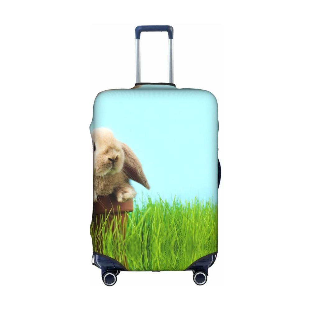 Hase auf Grünem Gras
